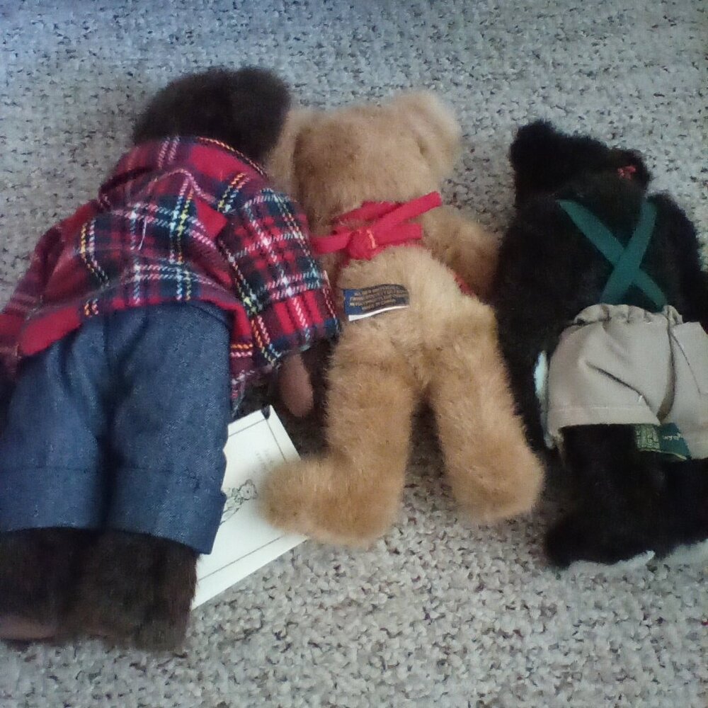 Boyd's bear - Picture 2 of 2